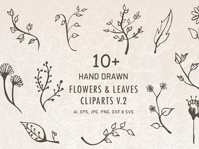 10 Free Hand Drawn Flowers Leaves Cliparts V2 By Faraz Ahmad On Dribbble