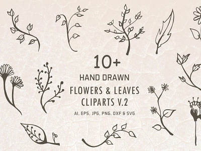 10+ Free Hand Drawn Flowers & Leaves Cliparts V2