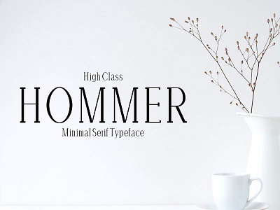 Hommer Minimal Serif Typeface cute fonts fun fonts hand lettered fonts handwriting fonts lettering fonts logo fonts wedding fonts