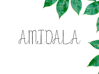 Amidala Script Font