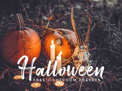 Halloween Lightroom Presets Free Download costume party devil full moon halloween halloween party haunted haunted house hell holiday horror hot halloween lightroom presets martini masquerade music night nightclub party presets pumpkin