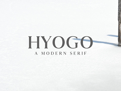 Hyogo Free Modern Serif Font