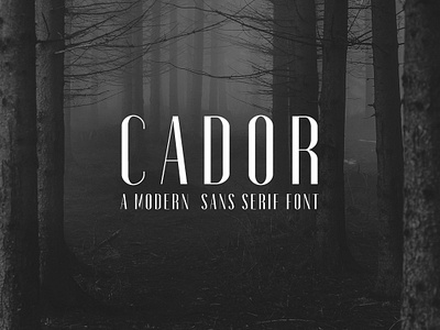 Free Cador Sans Serif Font by Creativetacos for CreativeTacos on Dribbble