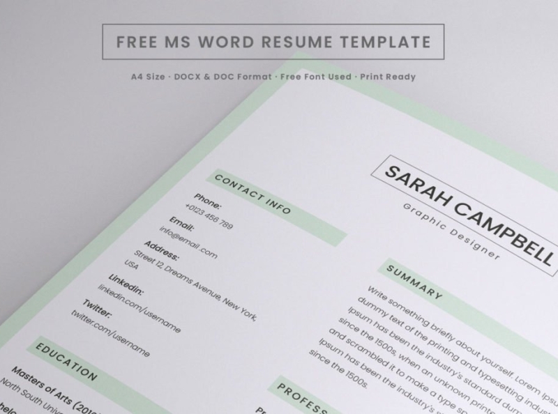 Microsoft Word Template For Resume from cdn.dribbble.com