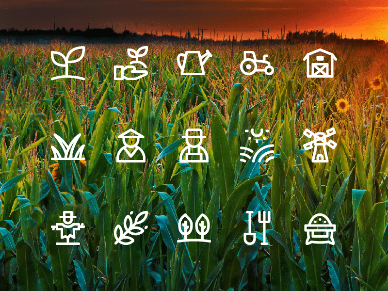 Jumpicon - Agriculture icon set agriculture app button glyph icon iconography iconset interface line ui ux