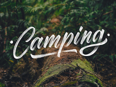 Camping applepencil brushscript camping handlettering ipadpro lettering procreate script type typedesign unsplash