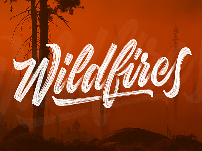 Wildfires Brush Script applepencil brushlettering brushscript handlettering handtype lettering portland procreate type unsplash wildfire