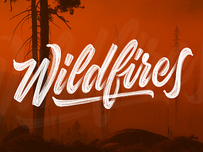 Wildfires Brush Script