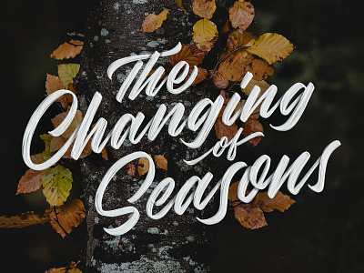 The Changing of Seasons applepencil handlettering handtype ipad ipadlettering ipadpro lettering procreate script type typedesign typography