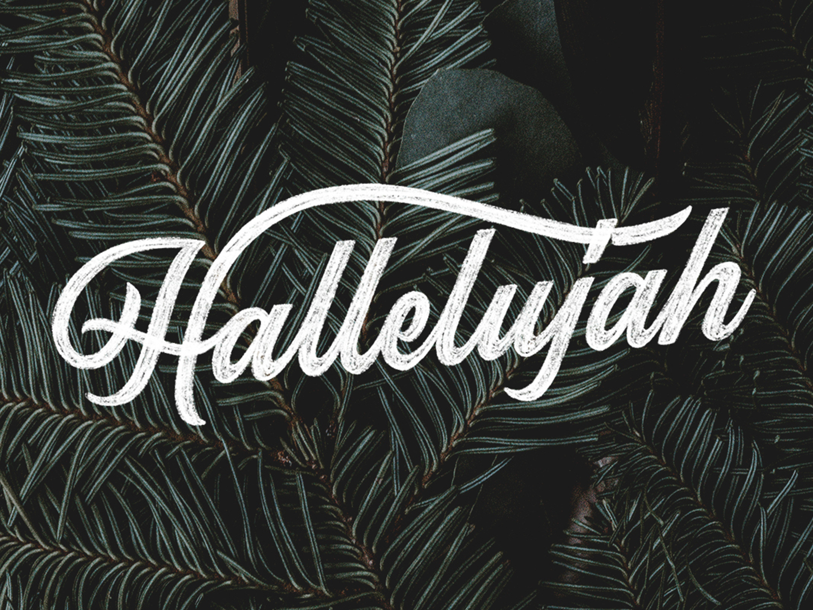 Hallelujah | Music cover photos, Worship wallpaper, Jesus scriptures