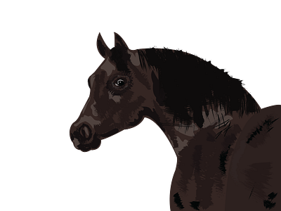 Horse illustration