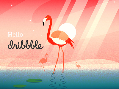 Hello Dribbble bird dawn fauna flamingo graphic design illustration pink