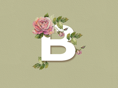 Letter B