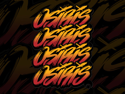 custom osiris shoes