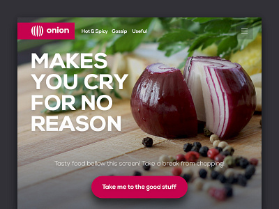 Landing Page Above The Fold 003 above the fold dailyui landing page onion