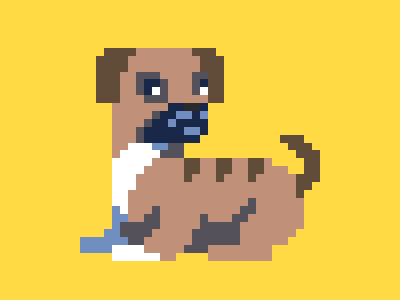 Remoh, the bug. animation boston terrier bug dog pixel pixel art pug sprite
