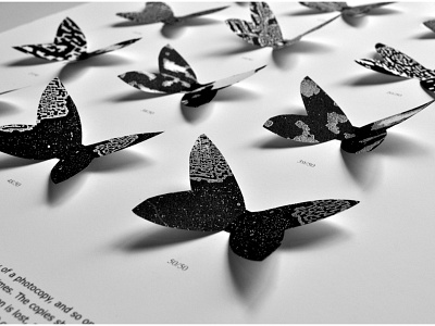 Evolution biology butterfly butterfly effect dna error evolution photocopy replication science