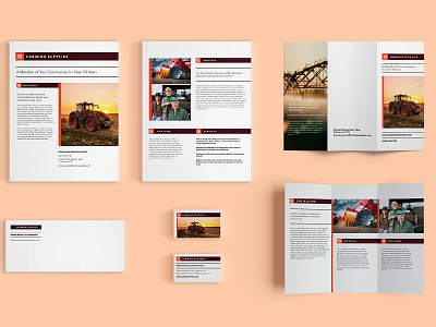 Farming brand branding brochure businesscard farm farming field identity design leaflet simple trifold visual identity