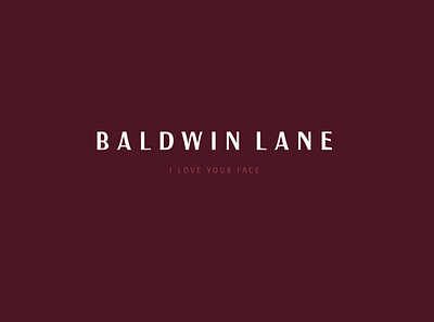 Baldwin Lane branding design logo typography