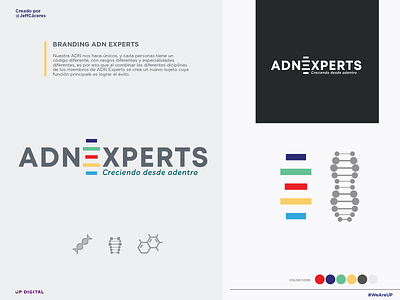 BRANDING ADN EXPERTS branding graphic design logo