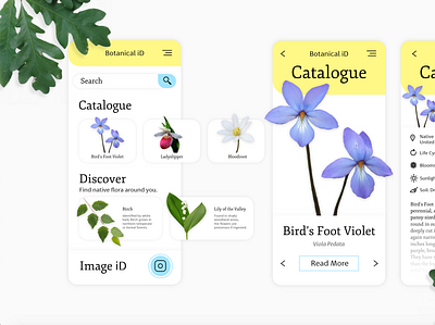 Botanical iD Home app botany citizen clean datacapture flora minimal mobile plants science ui ux