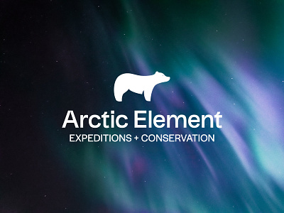 Arctic Element adventure arctic branding conservation logo minimal travel ui ux wildlife