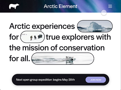 Arctic Element Website Concept adventure arctic branding travel ui ux web design