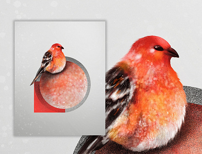 New Series Out lin(f)e art bird bird illustration illustration illustrator india photoshop procreate sketch tamil