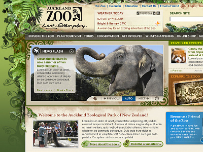 Auckland Zoo animals craft design homepage jungle skeuomorphic website zoo