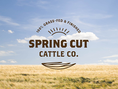 Spring Cut Cattle Co. Logo badge brown cattle farm farm logo grass grass fed idenity sun