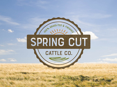 Spring Cut Cattle Co. Logo badge cattle farm farm logo grass grass fed idenity logo sun
