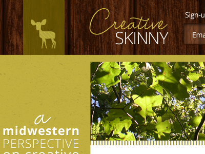Creative Skinny Revamped blog responsive website design