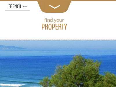 Vacation Homes Site