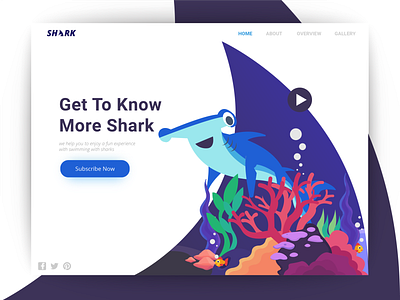 Shark Illustrations Header