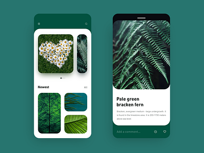 Green plant encyclopedia app design green green plant mobile plants ui ux