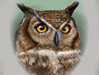 Mr. Hub the Owl animal animal illustration animals character design characterdesign digitalillustration digitalpaint digitalpainting drawingart drawings illustration illustration art illustration design illustration digital owl owl illustration owlpainting paintings photoshop art