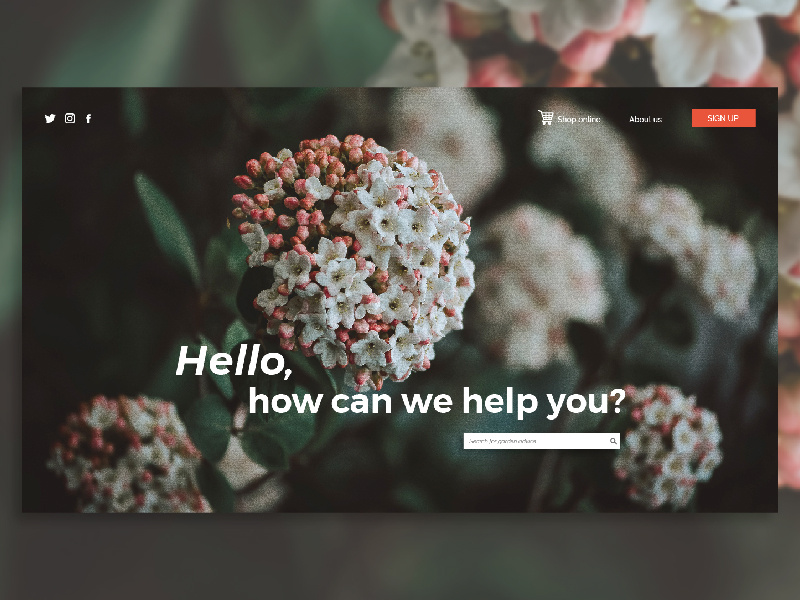 #DailyUiChallenge #003 design webdesign web dailyui003 ui dailyuichallenge dailyui