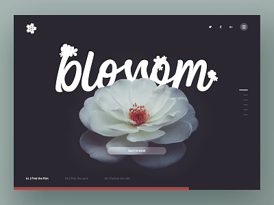 Blossom UI app dark design flower interface photoshop red sketch type ui ux white