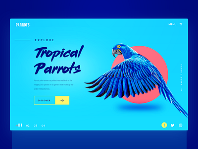 Parrots Website Header animals blue landing page parrot red split summer tropical vietnam web design website header yellow