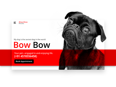 Bow Bow animal black book appointment clinic dog loveforanimal pet petclenic pets red ui uiux unique user experience user interface ux white