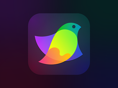 Amadine app icon amadine app application icon bird design graphics design icon logo vector