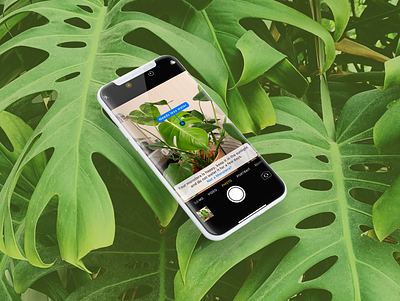 Doctor Green camera homeplants ios ios app iphonex monstera plantdoctor plants productdesign uxui