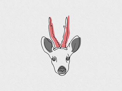 Roebuck deer graphics illustration roebuck