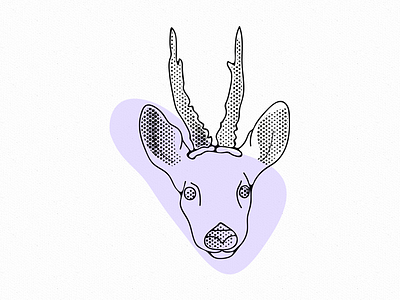 Roebuck - version II deer design graphics illustration roebuck