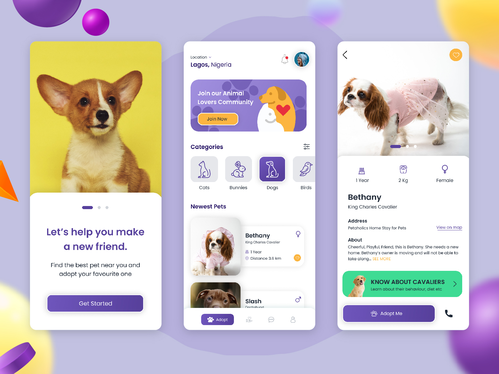 Pet Adoption App by Ajayi Temiloluwa on Dribbble