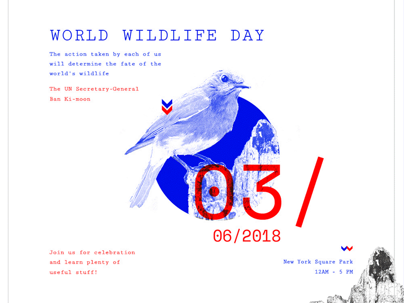 Wildlife Day | Modern and Creative Templates Suite banner branding business card cover envelope flyer folder identity post poster print social media