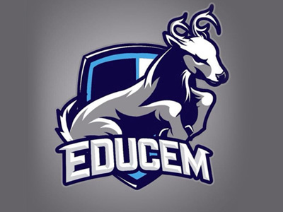 College Mascot / Deer cintiq college deer illustration logo mascot wacom