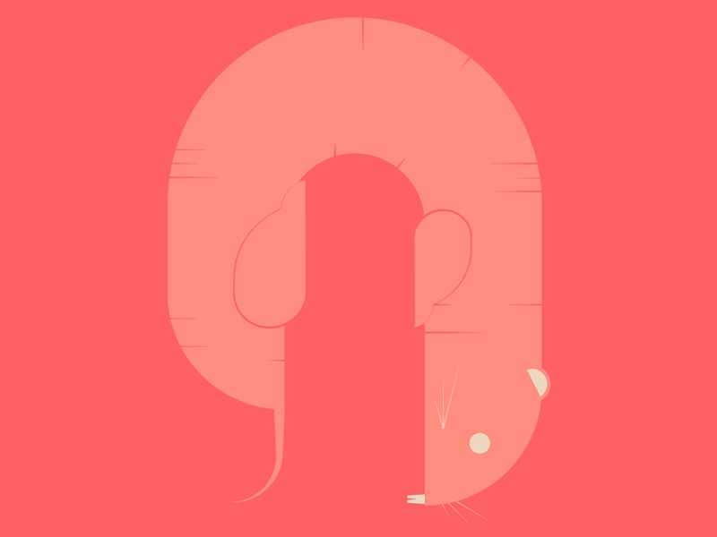 N(aked Mole Rat) - 14/26 Days of Type animal rat nakedmolerat after effects motiongraphics character clean ui vector lettering typography animation logo illustrator identity minimal flat illustration branding design