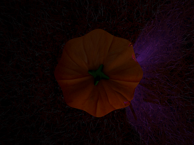 punkin 1.2 3d abstract art c4d cinema4d creative design donut food lighting material minimal modelling octane render texture