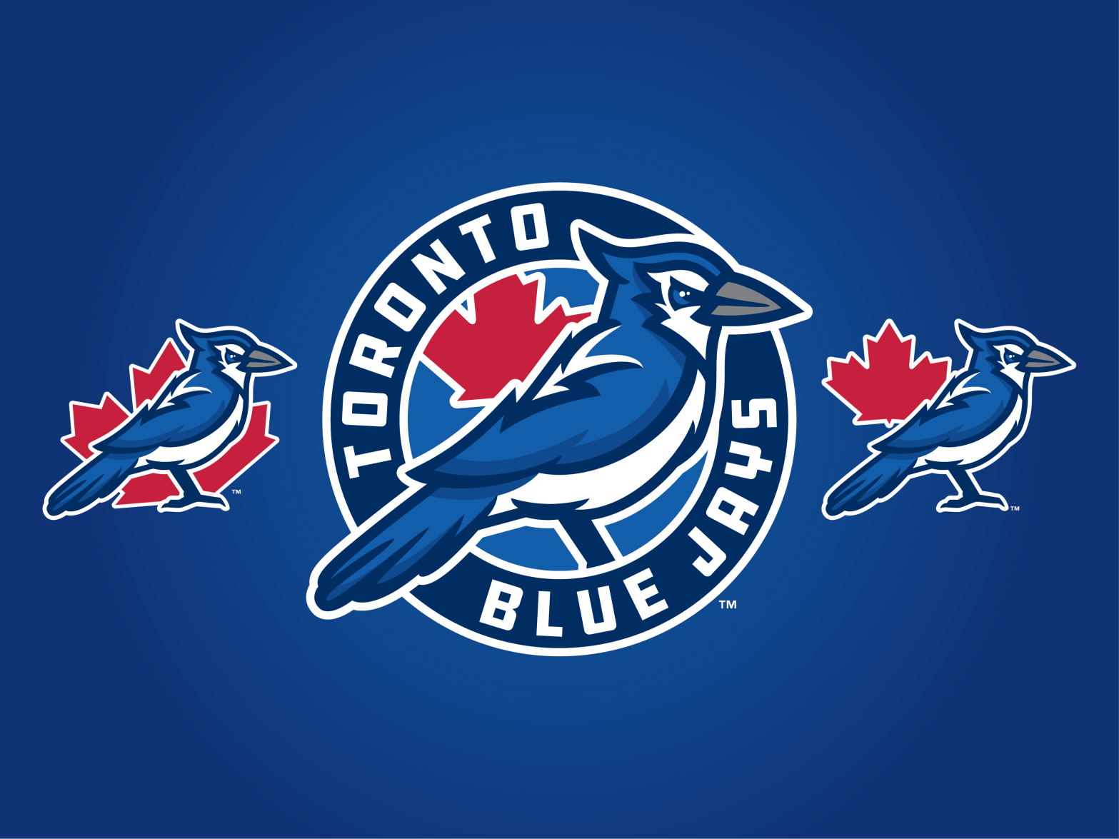 Concept Art: The Blue Jays & Raptors Hybrid Logos